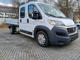 Fiat Ducato Maxi Pritsche/Kipper Doppelk/ 7-Sitze/180 - Fiat Ducato: Kipper