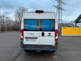Fiat Ducato - TÜV Neu - Top Zustand  - Fiat Ducato: Kleinbus, 7 Sitzer