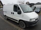 Fiat Ducato Kasten11 2.0 JTD Radst.2850 AHK ohne Tüv - Fiat Ducato: Kombi