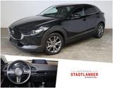 Mazda CX-30 Edition 100 2.0 NAVI*AHK*360CAM*LEDER - Mazda CX-30 in Hamburg
