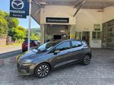 Ford Fiesta Titanium 1,0 EcoBoost 125 PS