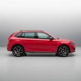 Skoda Kamiq 1.5 TSI Monte Carlo Automatik - Panoramad. - Gebrauchtwagen in der Nähe & deutschlandweit