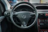 Mercedes-Benz Vaneo 1.9 Ambiente *Automatik/SHZ/Temp.* - Mercedes-Benz Vaneo: Kleinbus