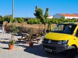 Volkswagen T6 - Angebote