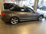 Audi A5 3.0 TDI  neues Cabriodach S-line Leder