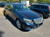 Mercedes-Benz E 250 BlueTEC T AVANTGARDE AVANTGARDE - Mercedes-Benz E 250 mit Diesel-Antrieb: Kombi, Schaltgetriebe