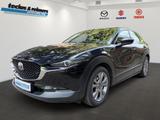 Mazda CX-30 SKYACTIV G 150 AT Selection Matrix/Bose/36