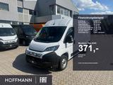 Fiat Ducato 33 L2H2 RüKa CarPlay Klima 260Grad Türen - Fiat Ducato Neuwagen