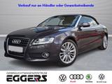 Audi A5 Cabrio 2.0 TFSI 6-Gang *Xenon+*Navi*Tempomat* - Audi A5: bis 10000 Euro