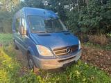 Mercedes-Benz Mercedes Benz Sprinter 313 CDI  Motorschad... - Mercedes-Benz Sprinter Gebrauchtwagen in Münster
