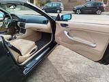 BMW 318Ci - sehr gepflegtes Cabrio - BMW 318 aus 2003