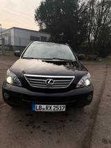 Lexus RX 400 Executive Executive - Lexus RX 400: Executive