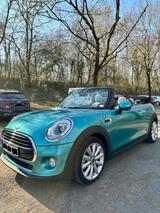 MINI Mini Cooper Cabrio LED, Leder, Windschott - MINI One Cabrio aus 2017