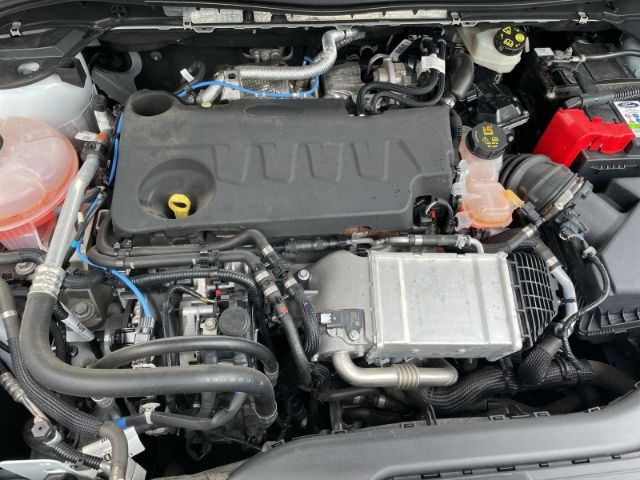 Fahrzeugabbildung Ford Kuga 2.0 EcoBlue M-Hybrid Cool & Connect Navi, S