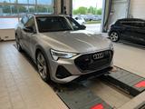 Audi e-tron 55 quattro S line 95kWh UPE:113.124,-€|Pa - silberne Audi e-tron