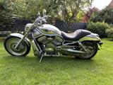 Harley-Davidson VRSCA V-ROD - HARLEY-DAVIDSON 2003 V ROD