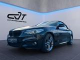 BMW 220 i MSPORT*CABRIO*H&K SOUND*PDC*SHZ*LEDER* - BMW: Sound