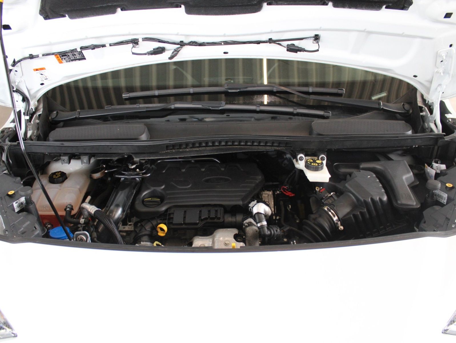 Fahrzeugabbildung Ford Transit Connect L2 Rollstuhlrampe Heckausschnitt