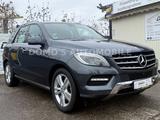 Mercedes-Benz ML 350 CDI BlueTec 4 Matic/360° Kamera/Massage - Mercedes-Benz ML 350: Cdi 4matic