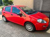 Fiat Punto 2017  *NUR* 47000km - Fiat Punto in Duisburg