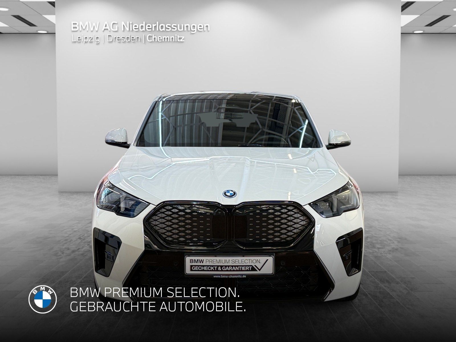 BMW iX2 xDrive30 M Sport Driv.Assist.Prof Harman K foto 4