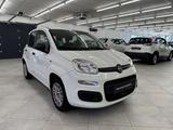 Fiat Panda Easy / Nur 45 TKM - Fiat Panda: 4.4