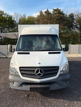 Mercedes-Benz 313CDi / Verkaufsfahrzeug/Food Truck - Mercedes-Benz Truck