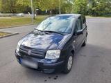 Fiat Panda 1.2 BV Alessi, guter Zustand, i... - Fiat Panda Alessi mit Benzin-Antrieb