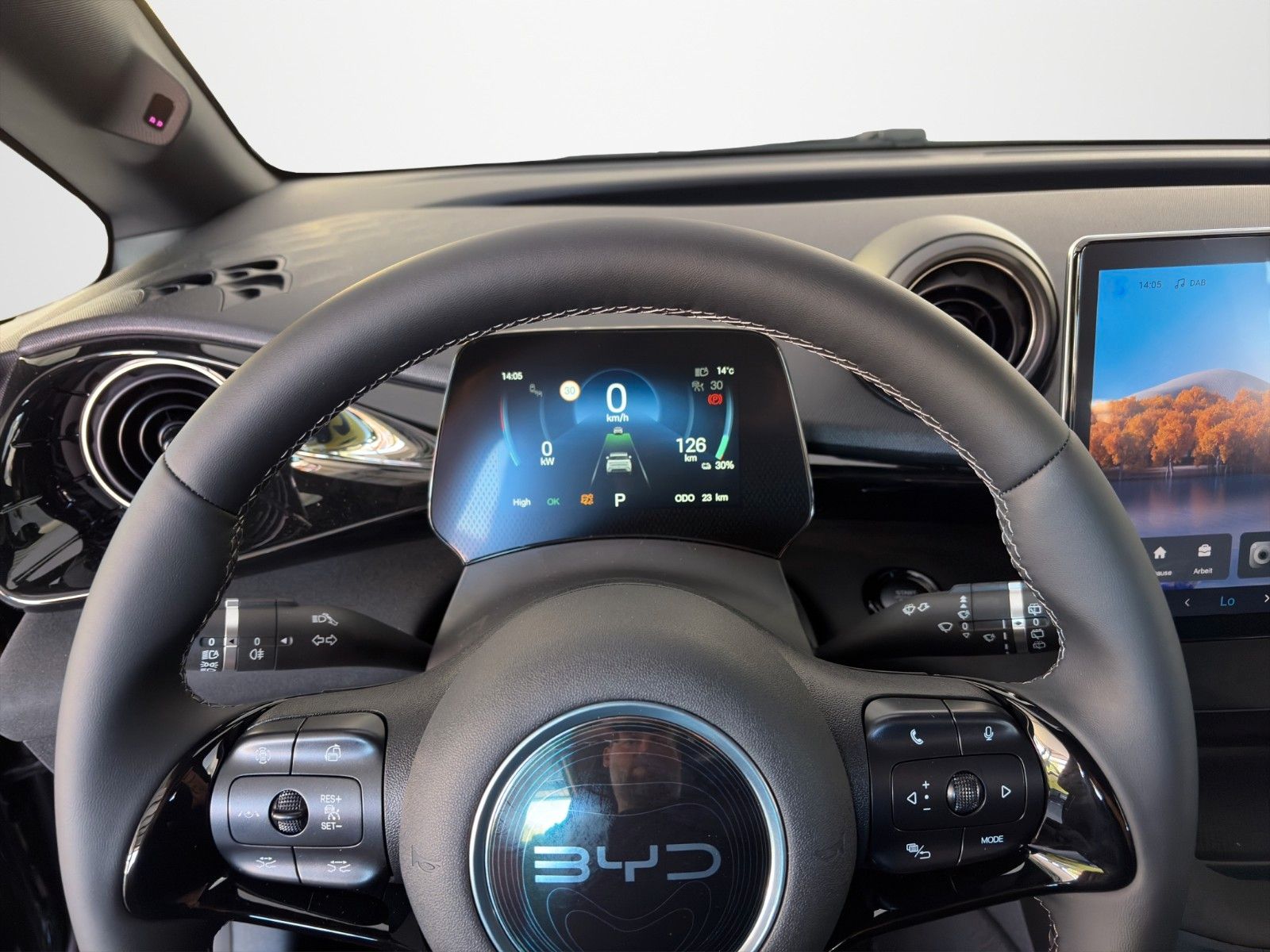 BYD DOLPHIN