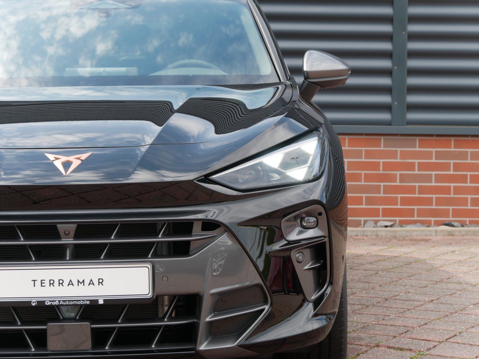 Cupra Terramar - Bild 4