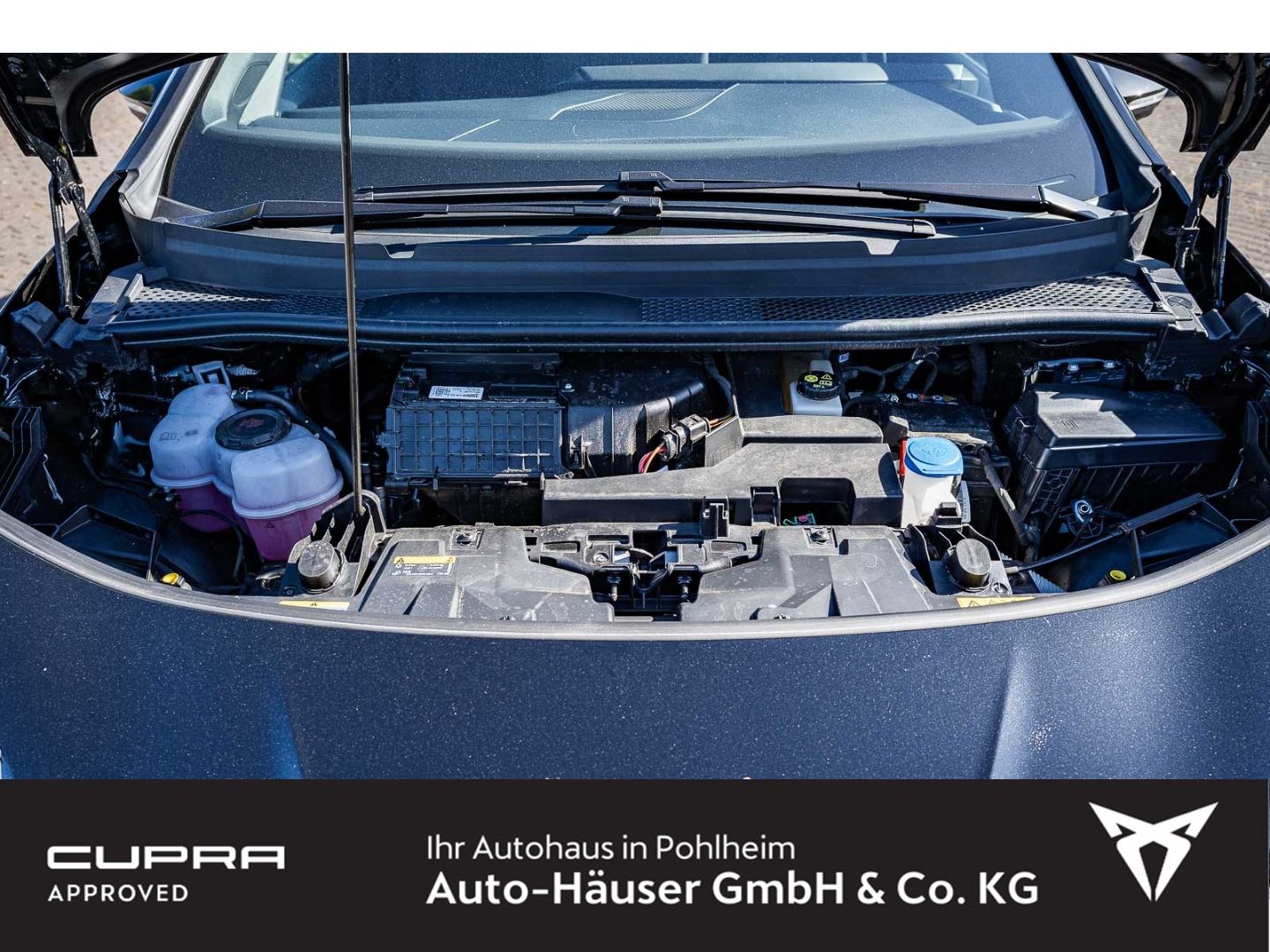 Cupra Born - Bild 28