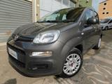 Fiat PANDA 1200 4Cilindri FIRE 5posti 2021 - Fiat Panda: Fire