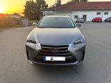 Lexus NX 300 300h E-FOUR Luxury Line Luxury Line - Lexus aus 2016