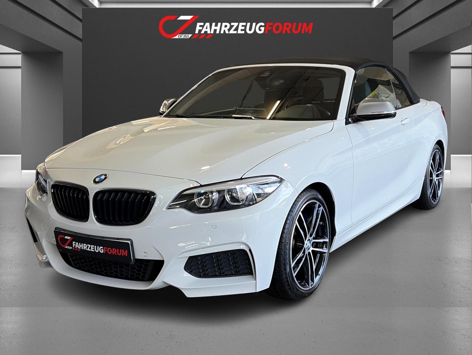BMW M240i Cabrio xDrive Steptronic H/K Navi Prof.