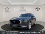 Mazda CX-30 SKY-G SOMO Takumi+LEDER+GJ-RÄDER !! - Mazda CX-30 in Duisburg