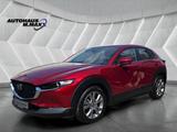 Mazda CX-30 Selection AWD ACC Spur Kamera HeadUp Apple - Mazda CX-3: Awd