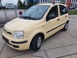 Fiat Panda 1.2 8V Dynamic - Fiat Panda: Gelb