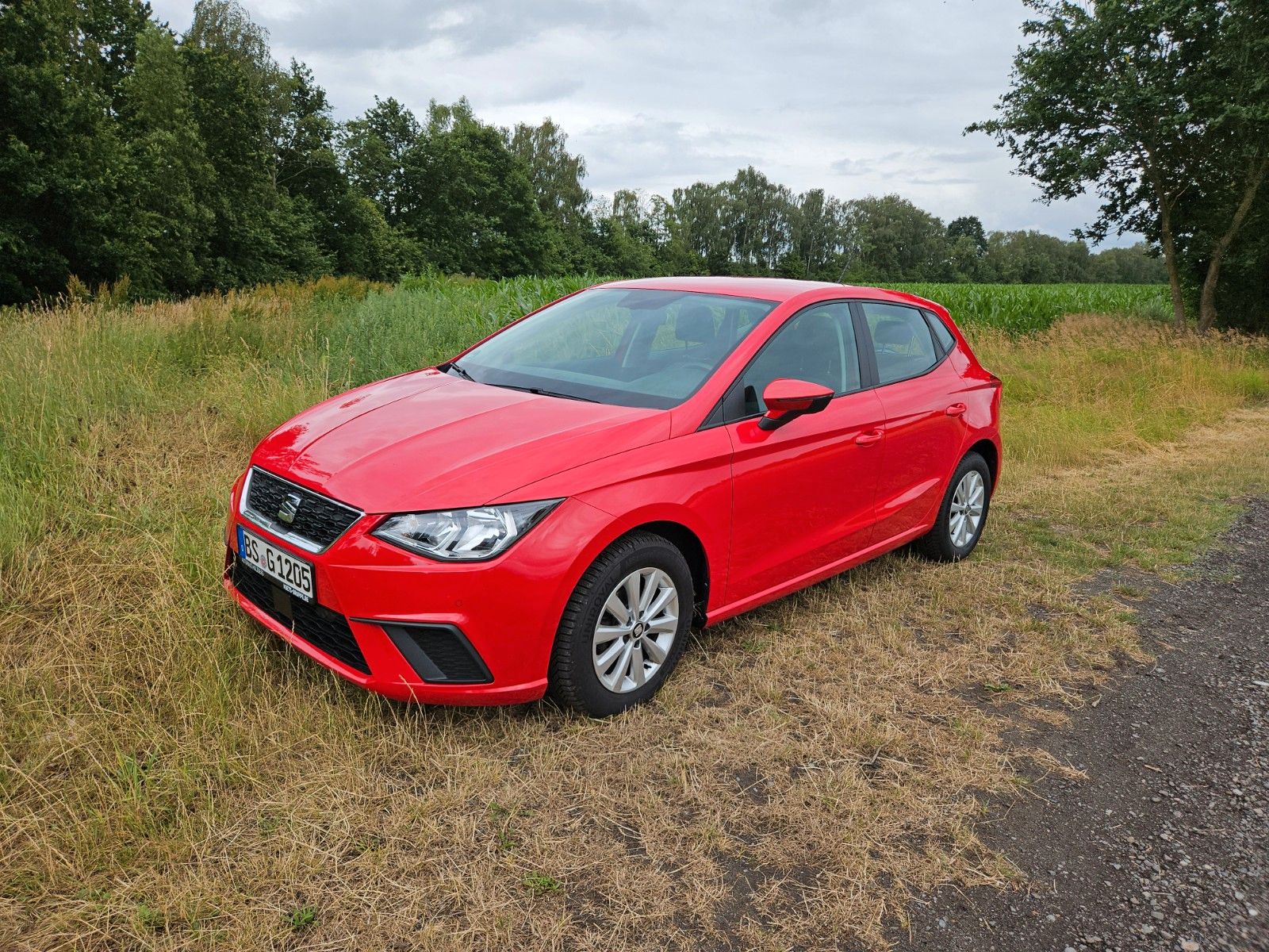 SEAT Ibiza 1.0 Style in rot / 70kw (95PS) SHZ KLIMA