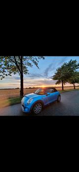 MINI Mini Cooper D Cabrio - MINI Cooper D Cabrio von privat