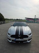 Ford Mustang 2.3 EcoBoost Auto - - Ford Mustang: Cabrio