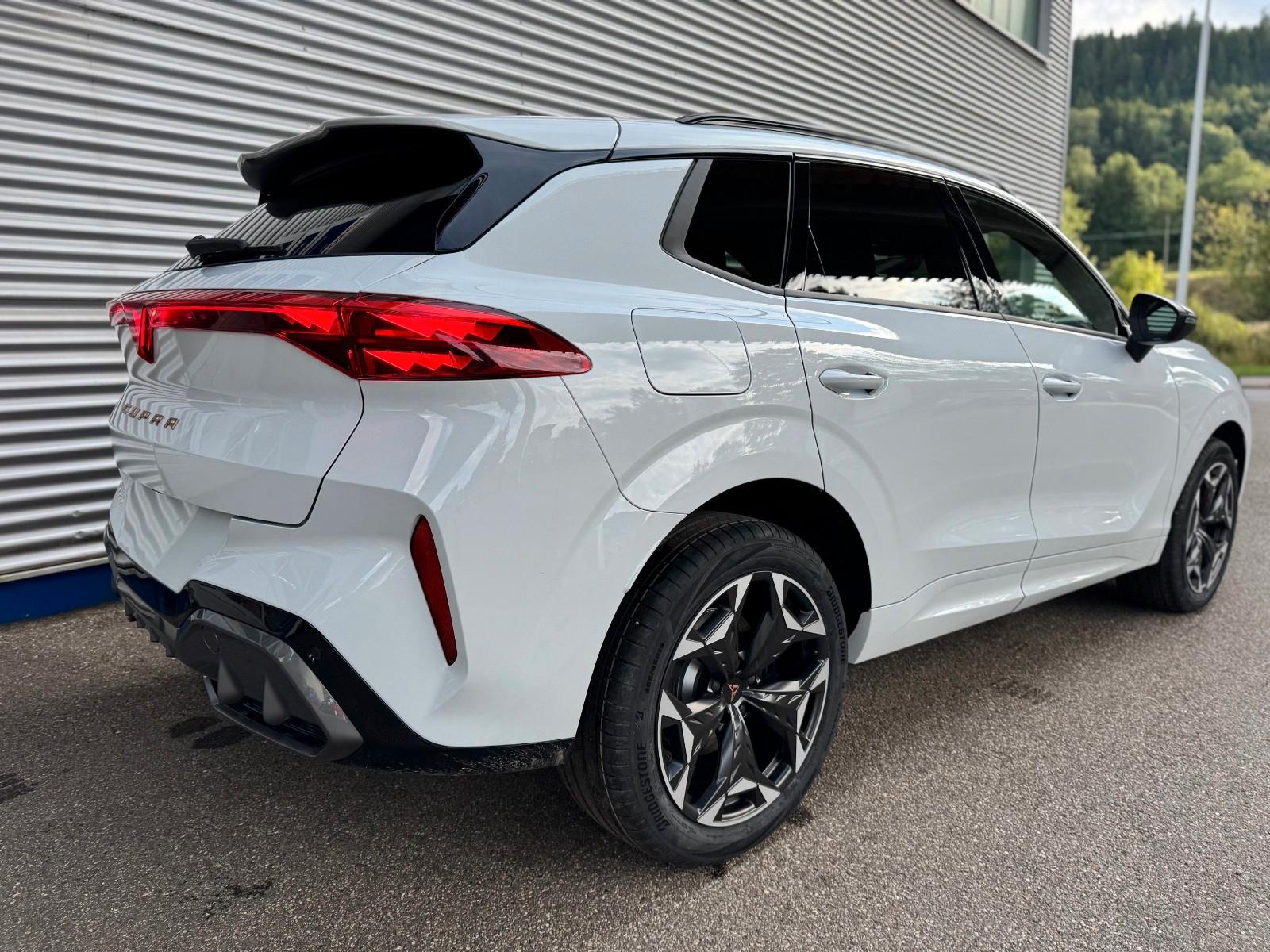 Cupra Terramar 2.0 TSI VZ DSG 4Drive, AHK, 5 J. Gar.