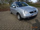 Volkswagen VW Lupo 1.0 Benzin Anfängerauto gepflegt,... - Volkswagen Lupo aus 2003