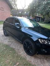 Audi Q5 3.0 TDI S tronic quattro - - gebrauchte Audi Q5 aus dem Jahr 2008