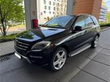 Mercedes-Benz ML 350 4MATIC - - Mercedes-Benz ML 350 Gebrauchtwagen in Stuttgart