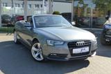 Audi A5 Cabriolet TFSI Navi Leder Windschott - : Cabrio, Windschott