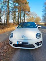 Volkswagen Beetle Sport 1.4 TSI / 160 PS / R-Line    - Volkswagen Beetle: Sport