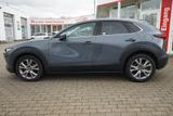 Mazda CX-30 2.0 M-Hybrid Selection LED Navi ACC Kamera - Mazda CX-30 Gebrauchtwagen