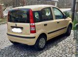 Fiat Panda 1. Hand - wenig km - 8-fach ber... - Fiat Panda: Km H