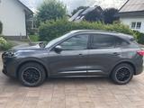 Ford Kuga 2.0 EcoBlue 140kW ST-Line Auto 4WD ST-Line - Ford Kuga: 2wd