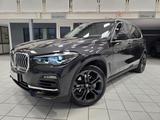 BMW Bmw X5 xDrive30d 265cv X-Line - BMW X5 mit Diesel-Antrieb: Kombi, Automatik